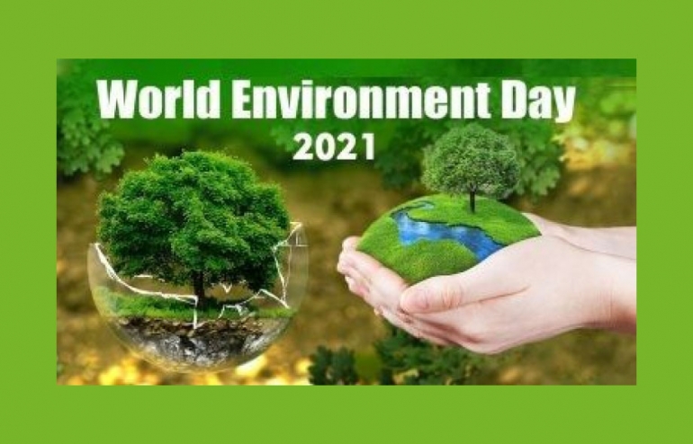 Δελτίο Τύπου για την Παγκόσμια Ημέρα Περιβάλλοντος